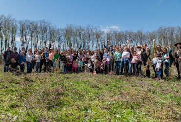 poza-grup-2-plantare.jpg poza-grup-2-plantare.jpg