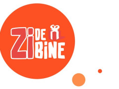 zidebine.jpg