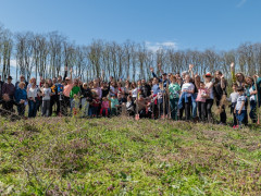 poza-grup-2-plantare.jpg